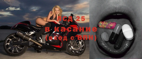 молекула духа Осташков