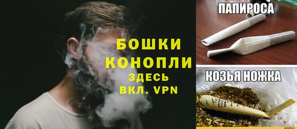 молекула духа Осташков