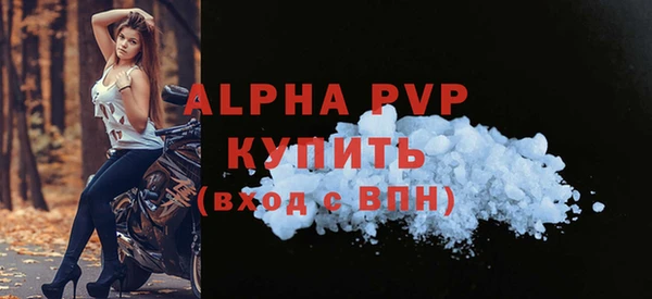 молекула духа Осташков