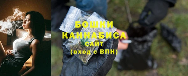 молекула духа Осташков