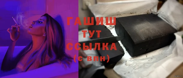 молекула духа Осташков