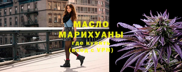 молекула духа Осташков
