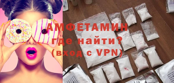 молекула духа Осташков