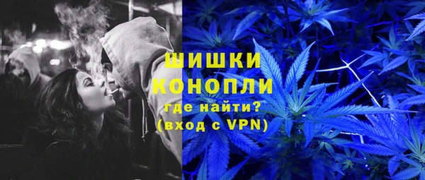молекула духа Осташков
