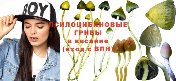 марки lsd Осинники
