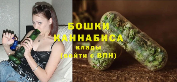 молекула духа Осташков