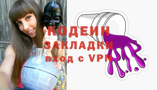 молекула духа Осташков