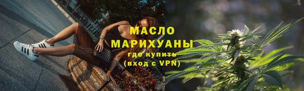 молекула духа Осташков