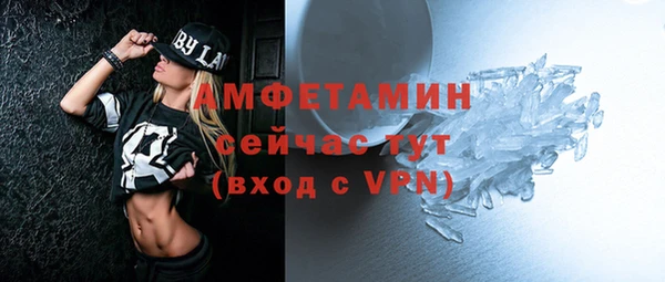 молекула духа Осташков